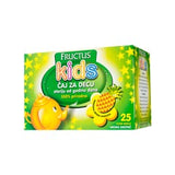 Fructus Doo Fructus-deciji Caj 25/1 Filter