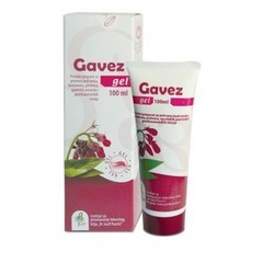 Institut Dr Josif Pancic Jp-gavez Gel 100ml