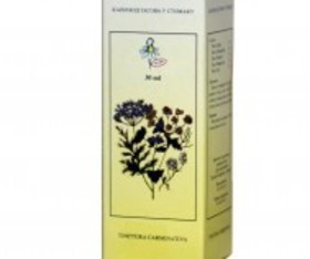 Institut Dr Josif Pancic Jp-kapi Pr.gasova U Stomaku 30ml