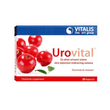Vitalis Doctors Group Vitalis Urovital kapsula 20 kom 4231